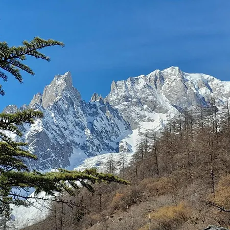 Astoria 3* كورمايور