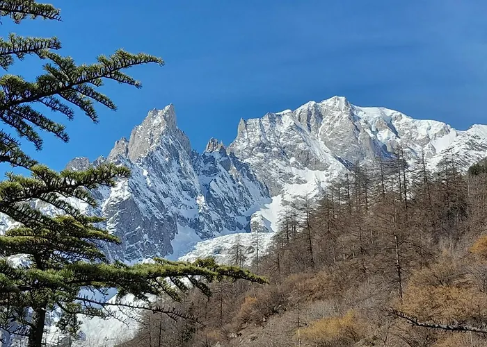 Astoria 3* 쿠르마예