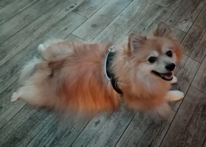 Hotel Astoria Courmayeur